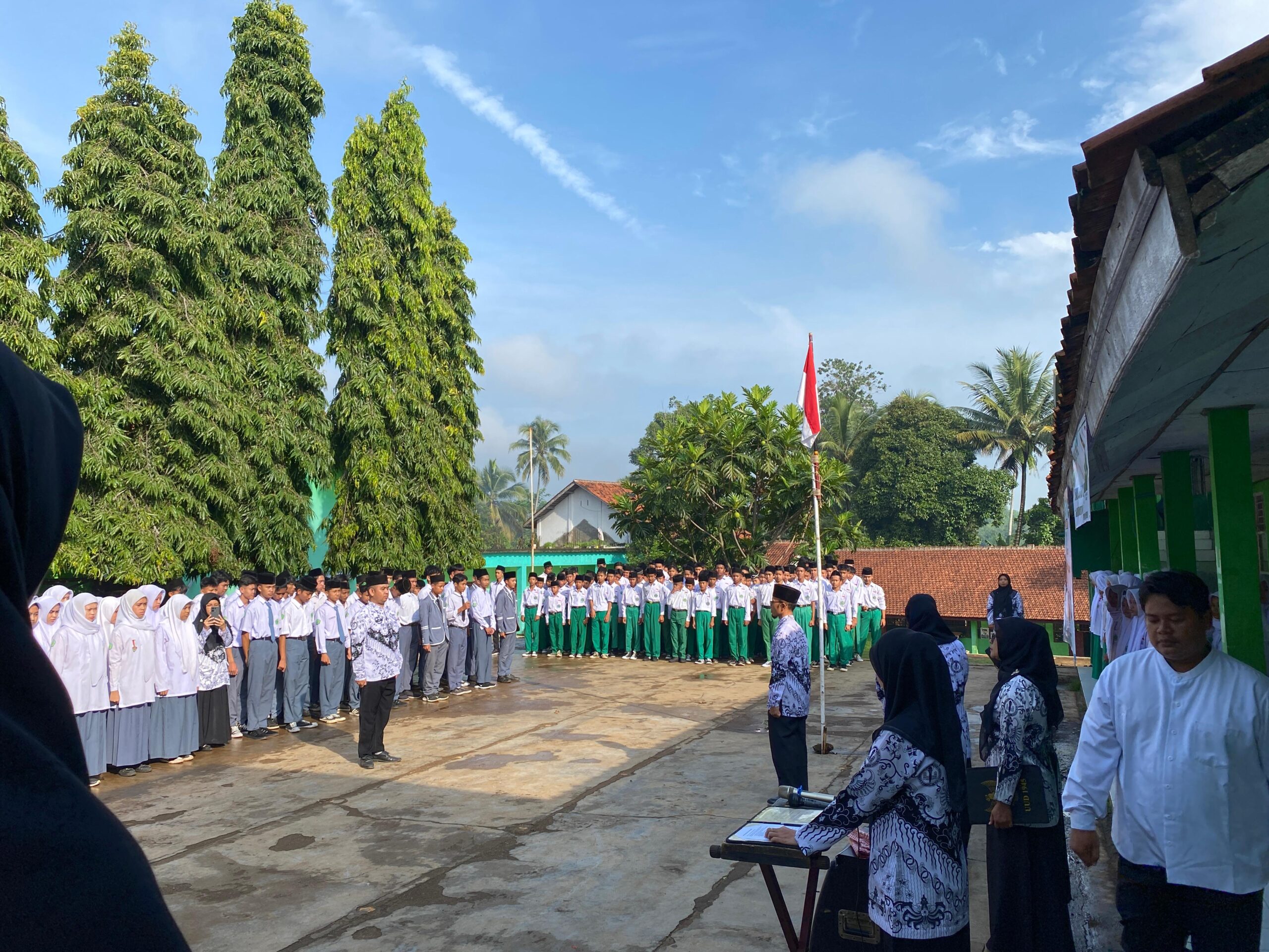 WhatsApp Image 2024-11-25 at 09.11.50 (1)